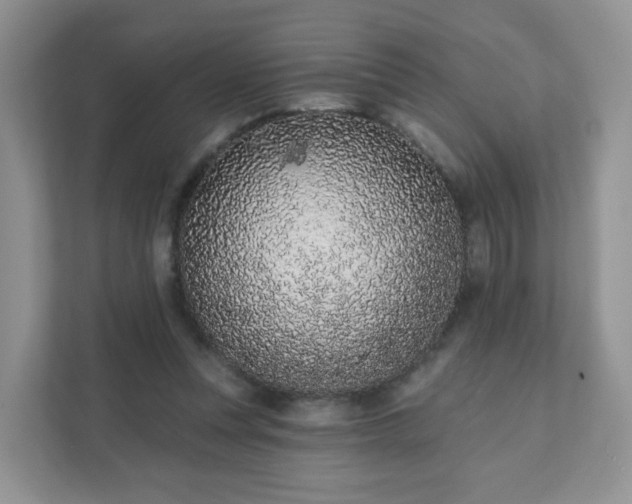 X0000111890351200907301202