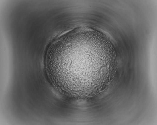 X0000111890353200907301202