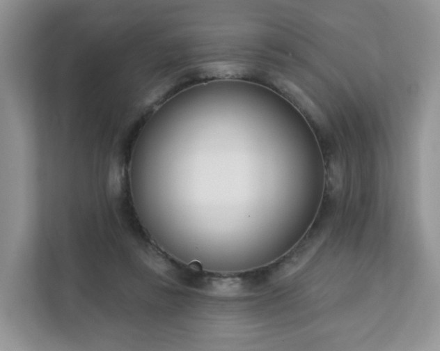 X0000111890355200907301202