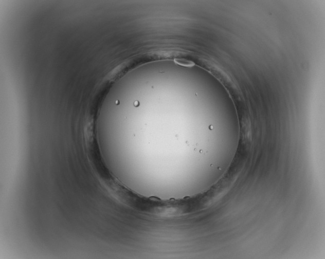 X0000111890356200907301202