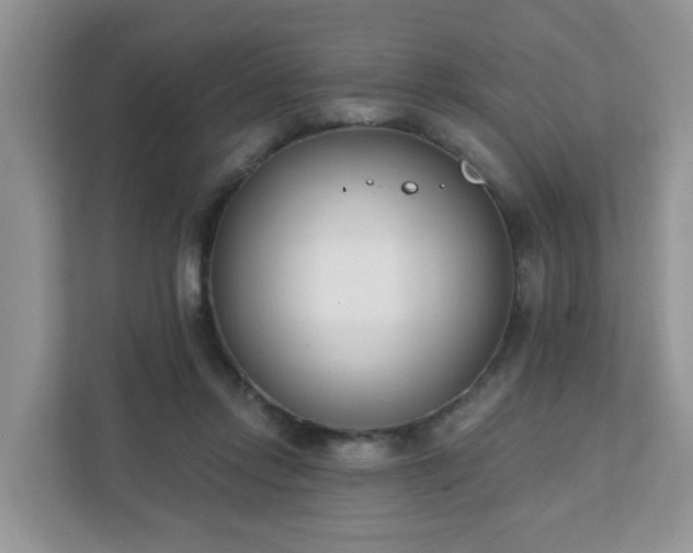 X0000111890358200907301202