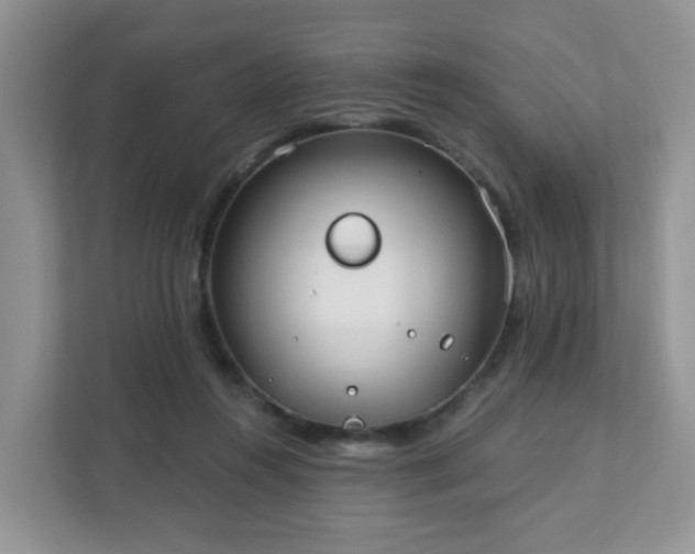 X0000111890360200907301202