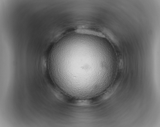 X0000111890363200907301202