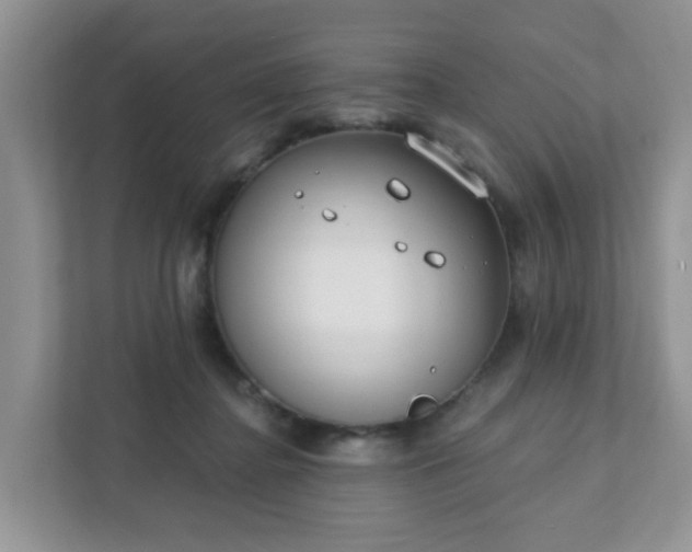 X0000111890364200907301202