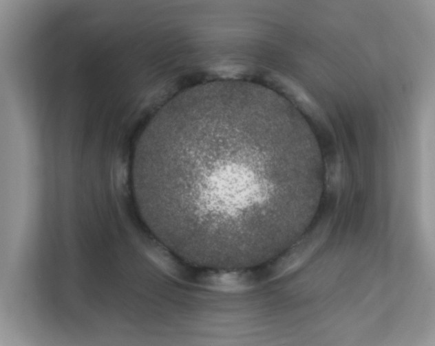 X0000111890365200907301202