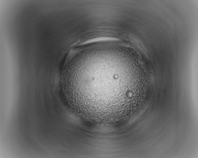 X0000111890367200907301202