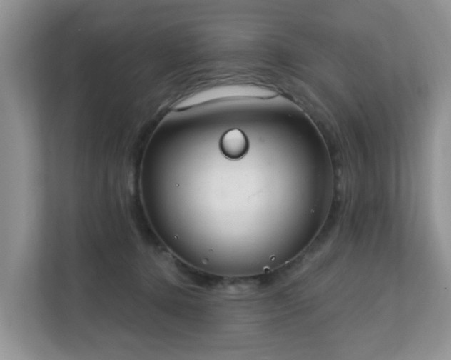 X0000111890368200907301202