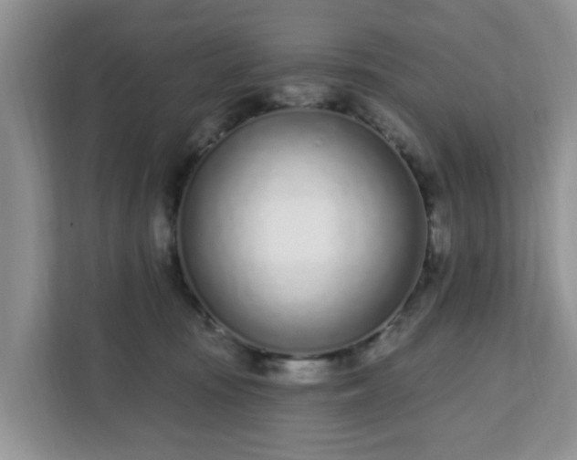 X0000111890371200907301202