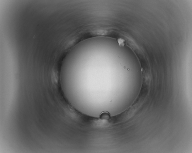 X0000111890374200907301202