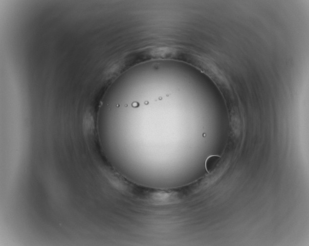 X0000111890375200907301202