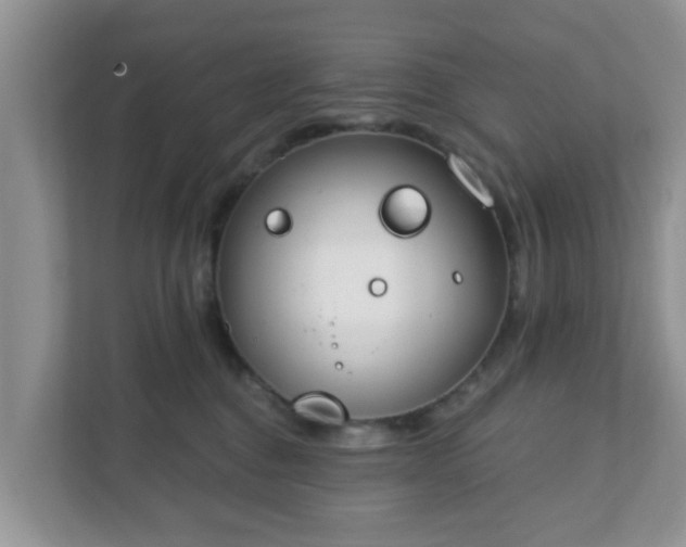 X0000111890376200907301202