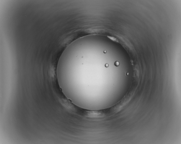 X0000111890380200907301202