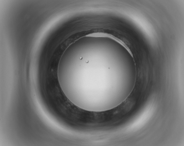 X0000111890383200907301202