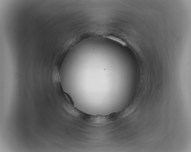 X0000111890384200907301202