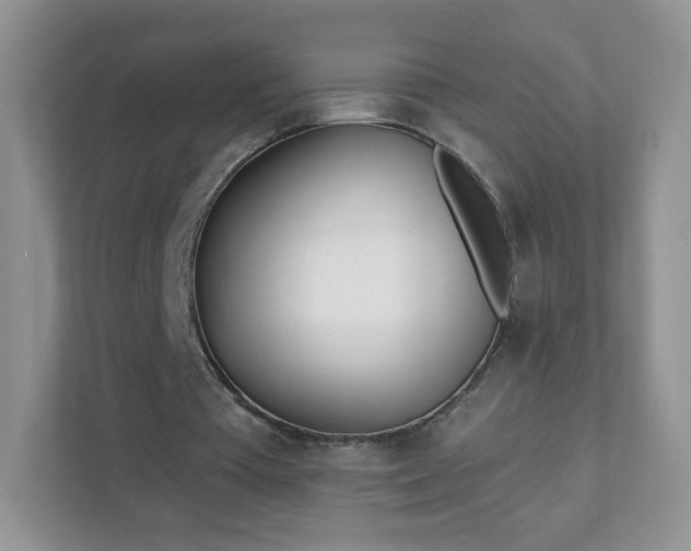 X0000111890385200907301202