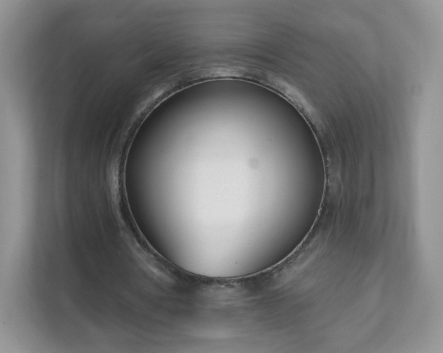 X0000111890386200907301202