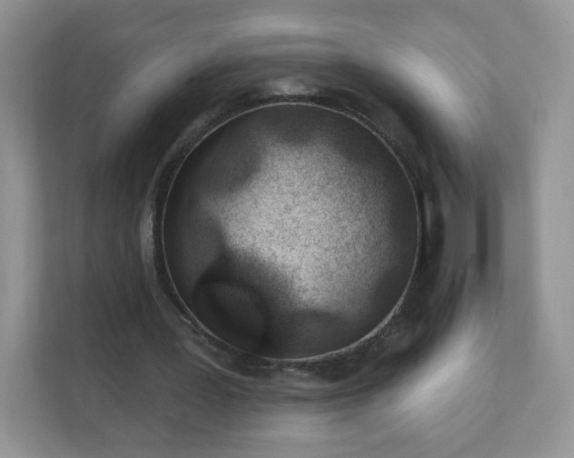 X0000111890387200907301202