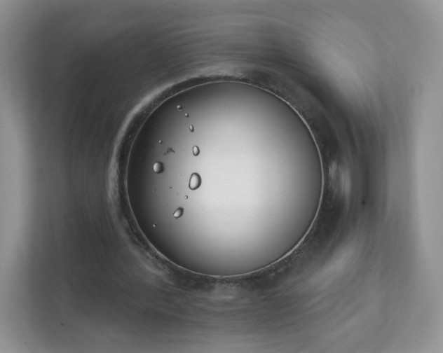 X0000111890388200907301202