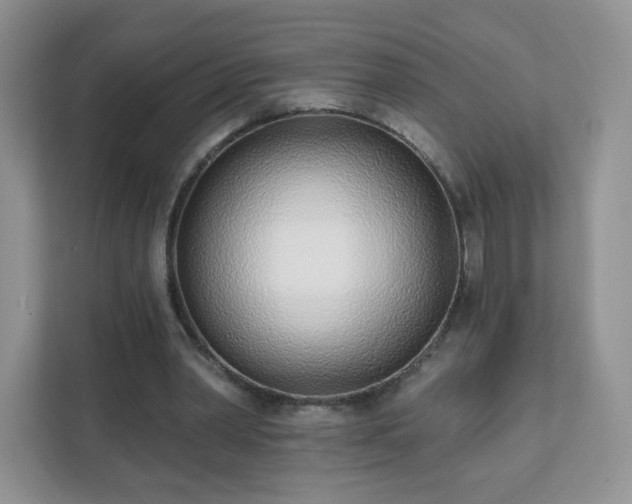 X0000111890390200907301202