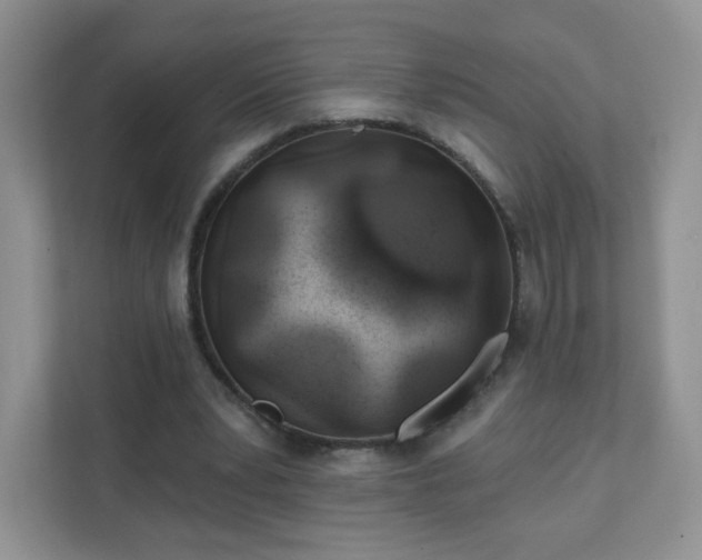 X0000111890391200907301202