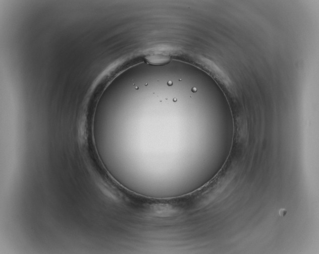 X0000111890392200907301202