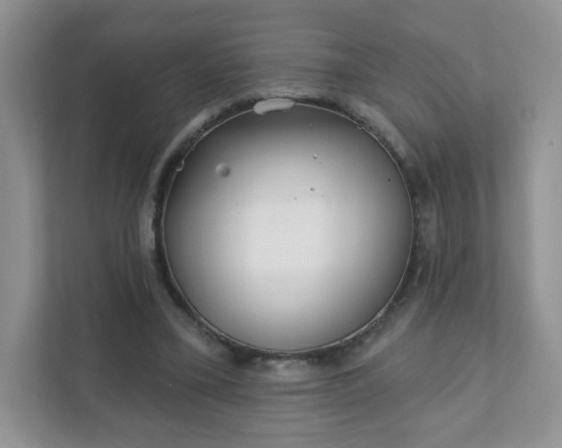 X0000111890395200907301202