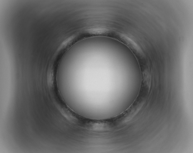 X0000111890400200907301202