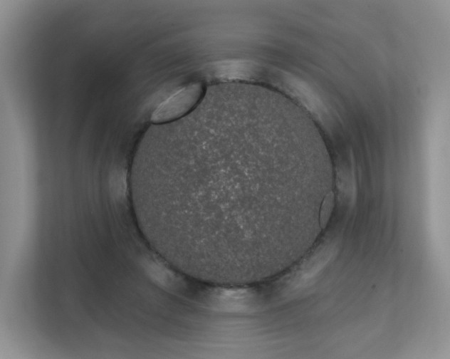 X0000111890401200907301202