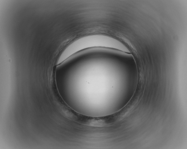 X0000111890403200907301202