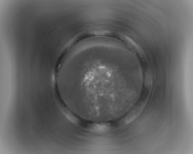 X0000111890405200907301202