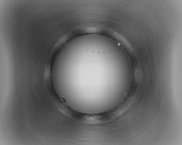 X0000111890407200907301202