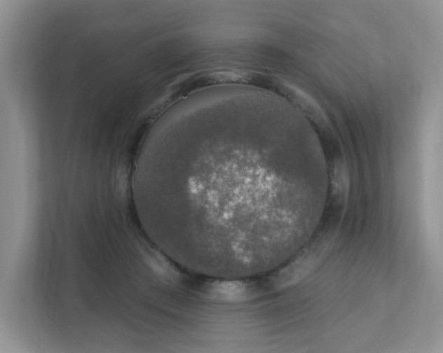 X0000111890409200907301202