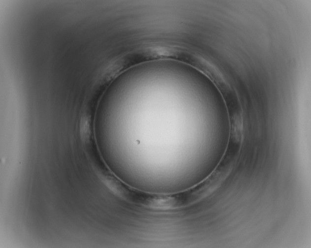 X0000111890410200907301202