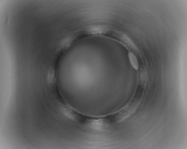 X0000111890411200907301202