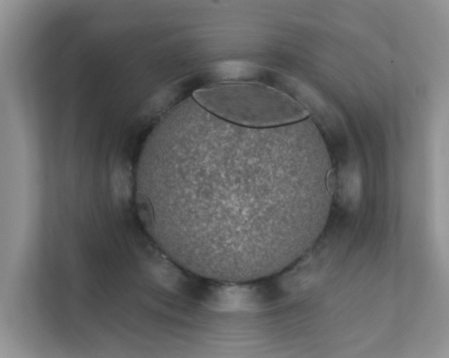 X0000111890413200907301201