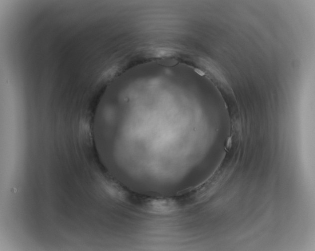 X0000111890415200907301201