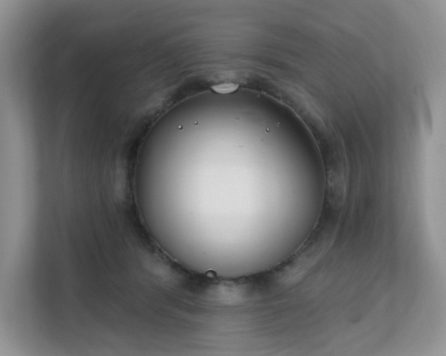 X0000111890416200907301201