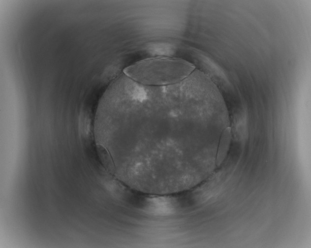 X0000111890417200907301201