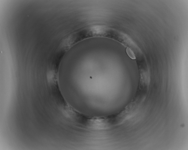 X0000111890419200907301201