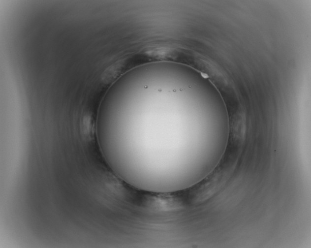 X0000111890420200907301201