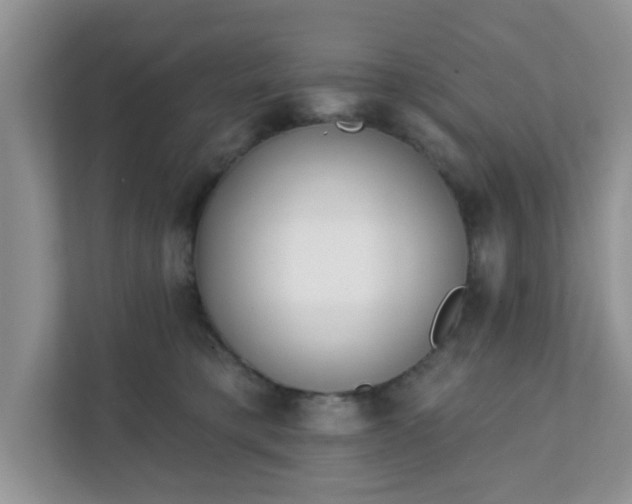 X0000111890421200907301201