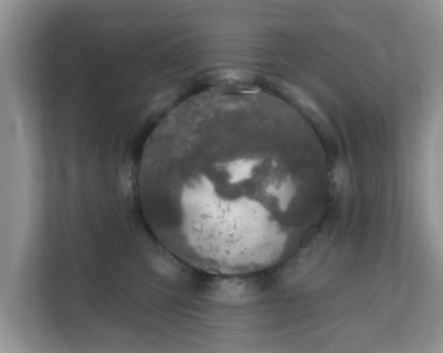 X0000111890423200907301201