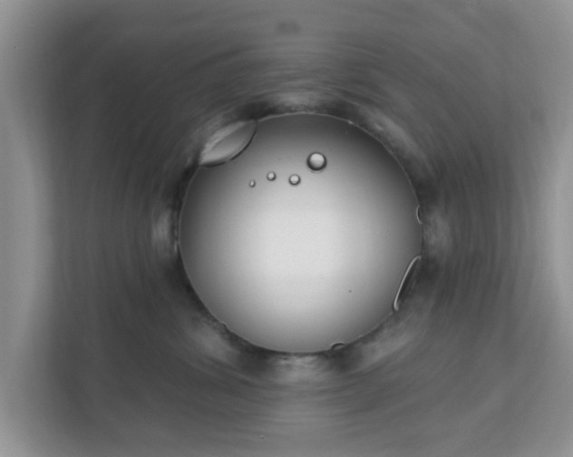 X0000111890428200907301201