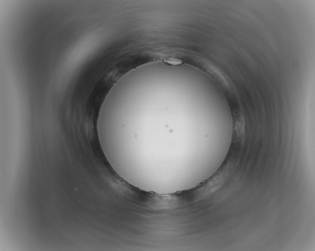 X0000111890429200907301201