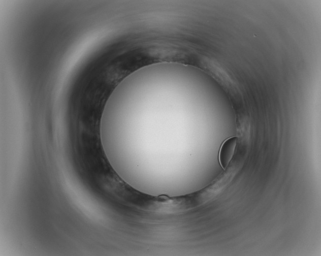 X0000111890430200907301201