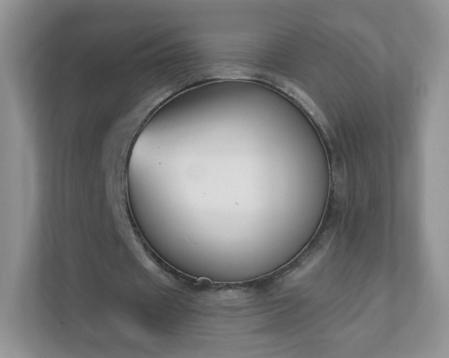 X0000111890433200907301201