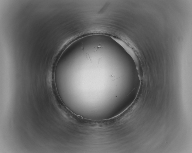 X0000111890434200907301201