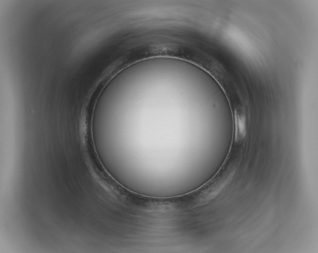 X0000111890435200907301201