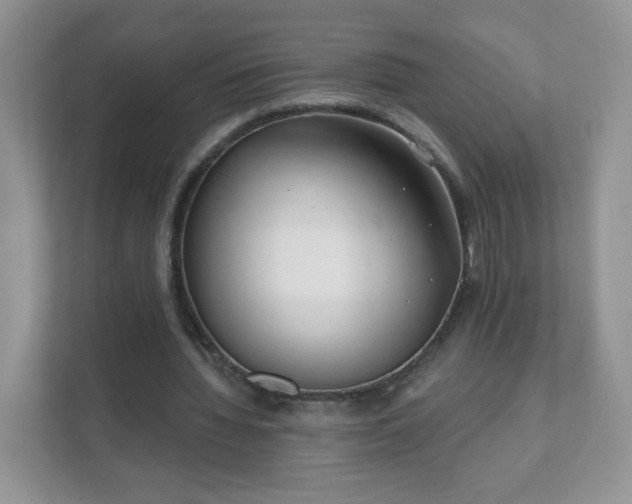 X0000111890436200907301201