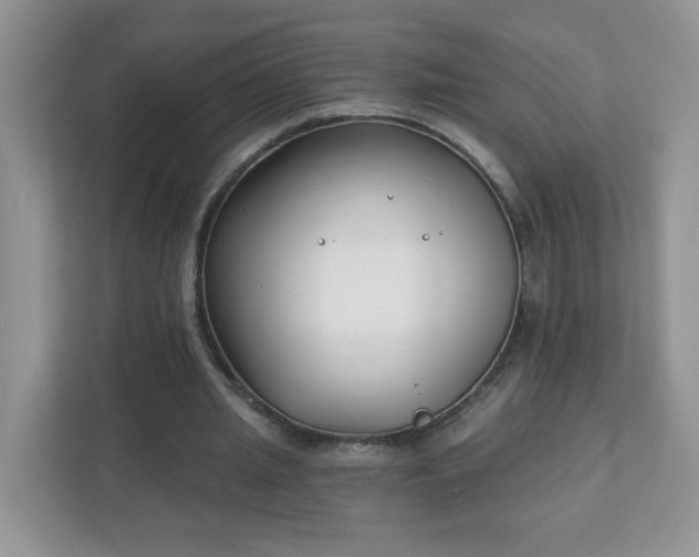 X0000111890437200907301201